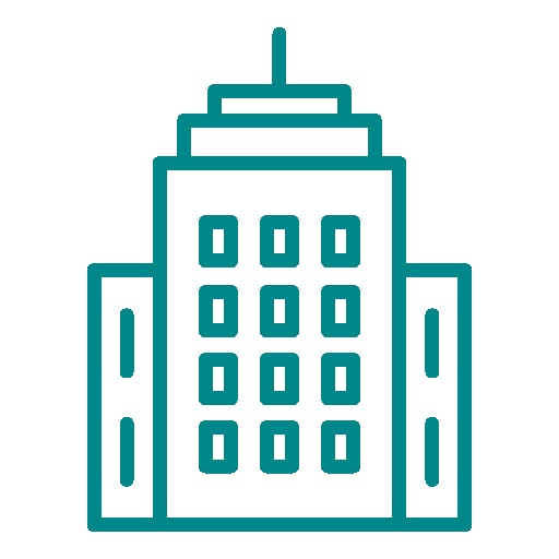 business maturity